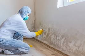 Best Commercial Mold Inspection  in Montrose, PA